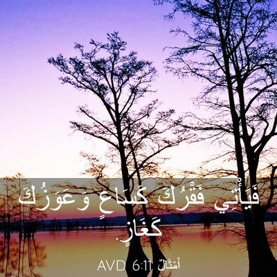 Picture 03 - أَمْثَالٌ 6:11 AVD - فَيَأْتِي فَقْرُكَ - Bible Verse Picture