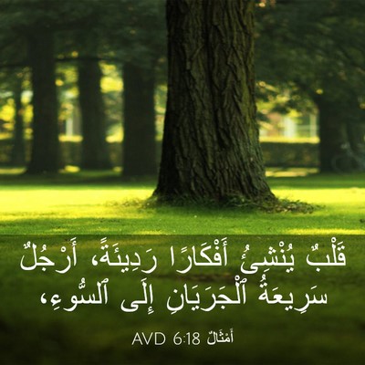 Picture 03 - أَمْثَالٌ 6:18 AVD - قَلْبٌ يُنْشِئُ - Bible Verse Picture