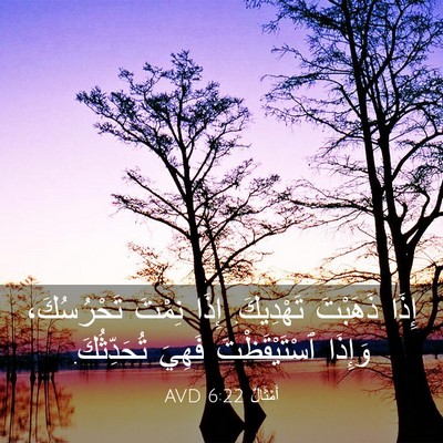 Picture 03 - أَمْثَالٌ 6:22 AVD - إِذَا ذَهَبْتَ تَهْدِيكَ. - Bible Verse Picture