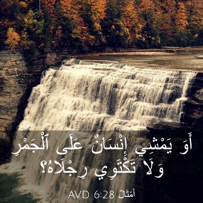 Picture 03 - أَمْثَالٌ 6:28 AVD - أَوَ يَمْشِي إِنْسَانٌ - Bible Verse Picture
