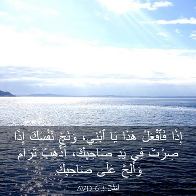 Picture 03 - أَمْثَالٌ 6:3 AVD - إِذًا فَٱفْعَلْ هَذَا يَا - Bible Verse Picture
