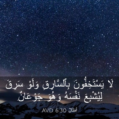 Picture 03 - أَمْثَالٌ 6:30 AVD - لَا يَسْتَخِفُّونَ - Bible Verse Picture
