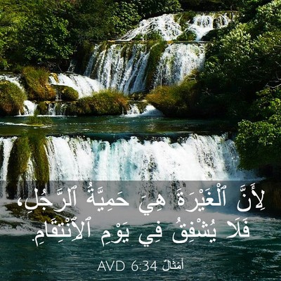 Picture 03 - أَمْثَالٌ 6:34 AVD - لِأَنَّ ٱلْغَيْرَةَ هِيَ - Bible Verse Picture