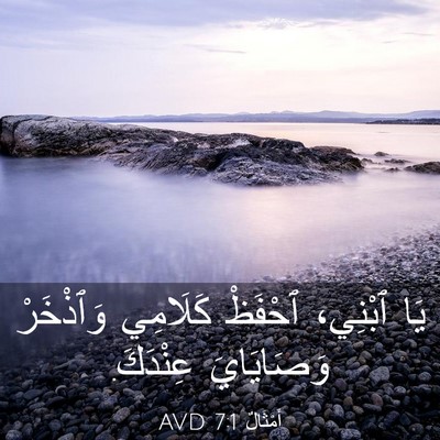 Picture 03 - أَمْثَالٌ 7:1 AVD - يَا ٱبْنِي، ٱحْفَظْ - Bible Verse Picture