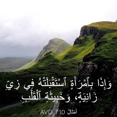 Picture 03 - أَمْثَالٌ 7:10 AVD - وَإِذَا بِٱمْرَأَةٍ - Bible Verse Picture