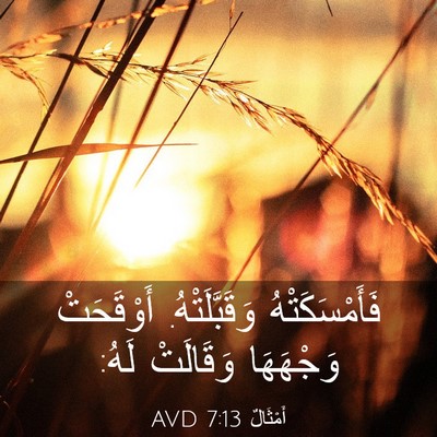 Picture 03 - أَمْثَالٌ 7:13 AVD - فَأَمْسَكَتْهُ - Bible Verse Picture