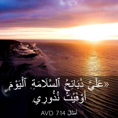 Picture 03 - أَمْثَالٌ 7:14 AVD - «عَلَيَّ ذَبَائِحُ - Bible Verse Picture