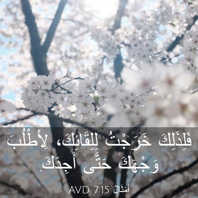 Picture 03 - أَمْثَالٌ 7:15 AVD - فَلِذَلِكَ خَرَجْتُ - Bible Verse Picture