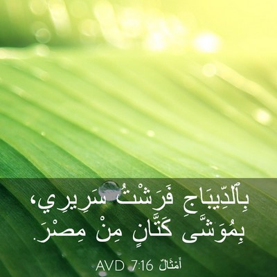 Picture 03 - أَمْثَالٌ 7:16 AVD - بِٱلدِّيبَاجِ فَرَشْتُ - Bible Verse Picture