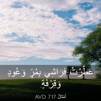 Picture 03 - أَمْثَالٌ 7:17 AVD - عَطَّرْتُ فِرَاشِي - Bible Verse Picture