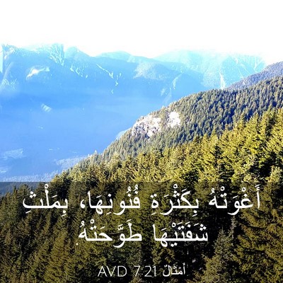 Picture 03 - أَمْثَالٌ 7:21 AVD - أَغْوَتْهُ بِكَثْرَةِ - Bible Verse Picture