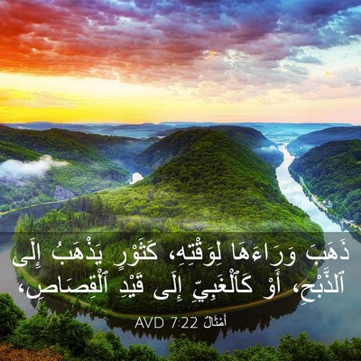 Picture 03 - أَمْثَالٌ 7:22 AVD - ذَهَبَ وَرَاءَهَا - Bible Verse Picture