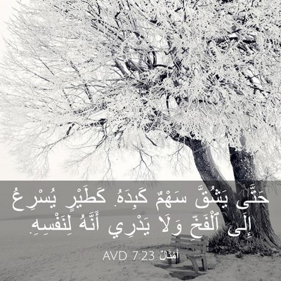 Picture 03 - أَمْثَالٌ 7:23 AVD - حَتَّى يَشُقَّ سَهْمٌ - Bible Verse Picture
