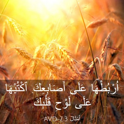 Picture 03 - أَمْثَالٌ 7:3 AVD - اُرْبُطْهَا عَلَى - Bible Verse Picture