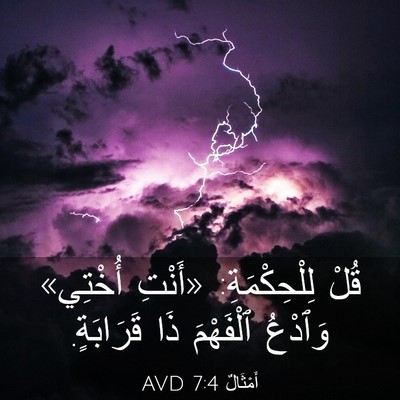 Picture 03 - أَمْثَالٌ 7:4 AVD - قُلْ لِلْحِكْمَةِ: «أَنْتِ - Bible Verse Picture