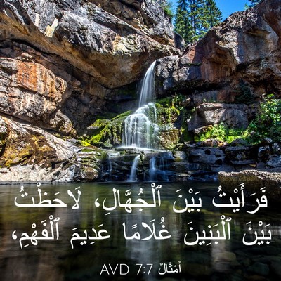 Picture 03 - أَمْثَالٌ 7:7 AVD - فَرَأَيْتُ بَيْنَ - Bible Verse Picture
