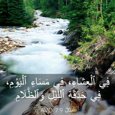 Picture 03 - أَمْثَالٌ 7:9 AVD - فِي ٱلْعِشَاءِ، فِي - Bible Verse Picture