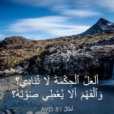 Picture 03 - أَمْثَالٌ 8:1 AVD - أَلَعَلَّ ٱلْحِكْمَةَ لَا - Bible Verse Picture
