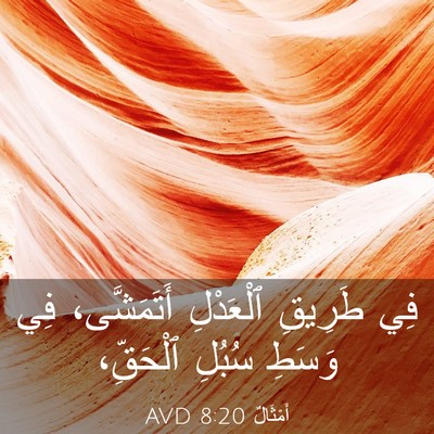 Picture 03 - أَمْثَالٌ 8:20 AVD - فِي طَرِيقِ ٱلْعَدْلِ - Bible Verse Picture