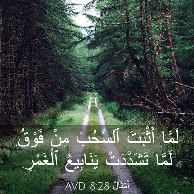 Picture 03 - أَمْثَالٌ 8:28 AVD - لَمَّا أَثْبَتَ ٱلسُّحُبَ - Bible Verse Picture
