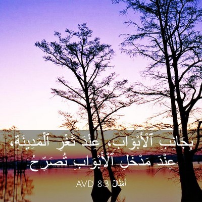 Picture 03 - أَمْثَالٌ 8:3 AVD - بِجَانِبِ ٱلْأَبْوَابِ، - Bible Verse Picture