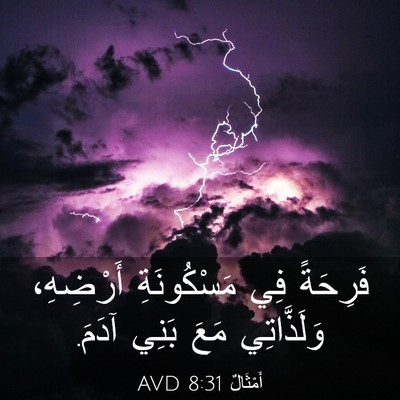Picture 03 - أَمْثَالٌ 8:31 AVD - فَرِحَةً فِي مَسْكُونَةِ - Bible Verse Picture
