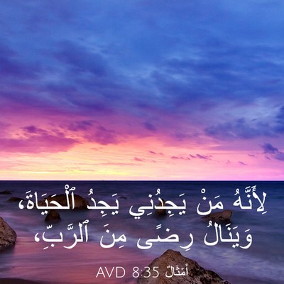 Picture 03 - أَمْثَالٌ 8:35 AVD - لِأَنَّهُ مَنْ يَجِدُنِي - Bible Verse Picture