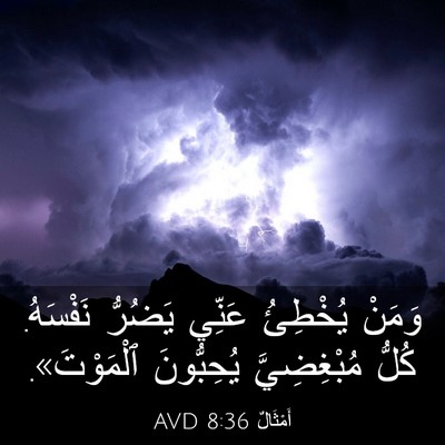 Picture 03 - أَمْثَالٌ 8:36 AVD - وَمَنْ يُخْطِئُ عَنِّي - Bible Verse Picture