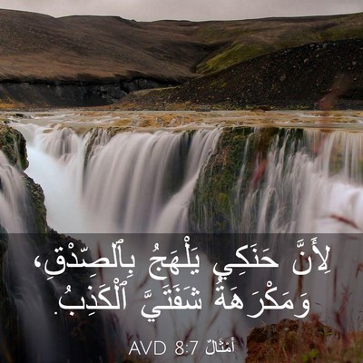 Picture 03 - أَمْثَالٌ 8:7 AVD - لِأَنَّ حَنَكِي يَلْهَجُ - Bible Verse Picture