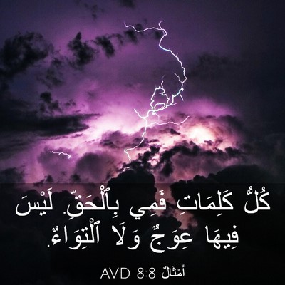 Picture 03 - أَمْثَالٌ 8:8 AVD - كُلُّ كَلِمَاتِ فَمِي - Bible Verse Picture
