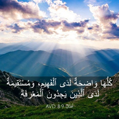 Picture 03 - أَمْثَالٌ 8:9 AVD - كُلُّهَا وَاضِحَةٌ لَدَى - Bible Verse Picture