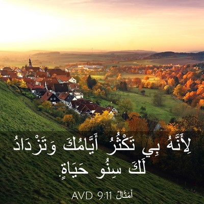 Picture 03 - أَمْثَالٌ 9:11 AVD - لِأَنَّهُ بِي تَكْثُرُ - Bible Verse Picture