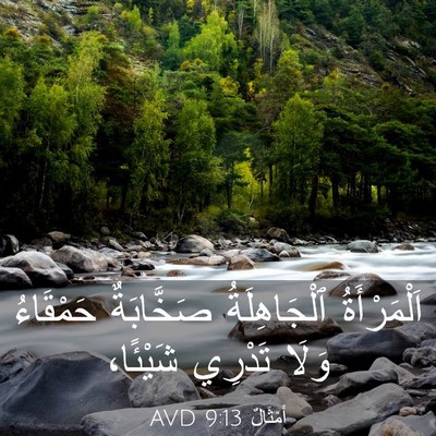 Picture 03 - أَمْثَالٌ 9:13 AVD - اَلْمَرْأَةُ ٱلْجَاهِلَةُ - Bible Verse Picture