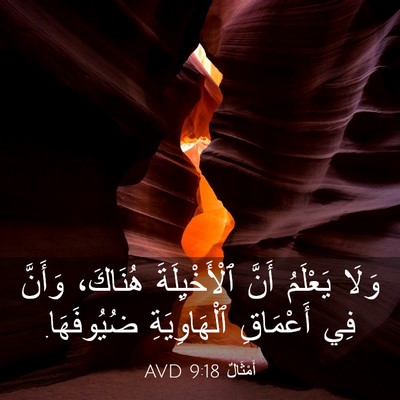 Picture 03 - أَمْثَالٌ 9:18 AVD - وَلَا يَعْلَمُ أَنَّ - Bible Verse Picture