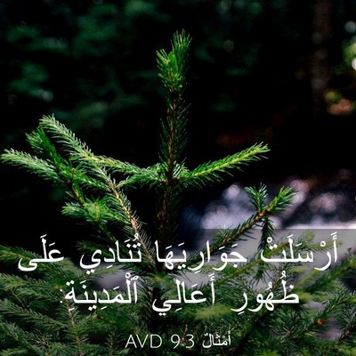 Picture 03 - أَمْثَالٌ 9:3 AVD - أَرْسَلَتْ جَوَارِيَهَا - Bible Verse Picture