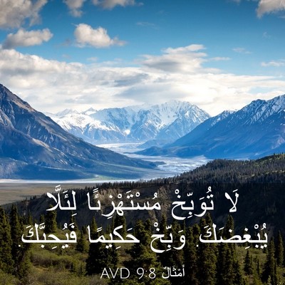 Picture 03 - أَمْثَالٌ 9:8 AVD - لَا تُوَبِّخْ - Bible Verse Picture