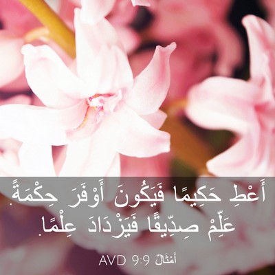 Picture 03 - أَمْثَالٌ 9:9 AVD - أَعْطِ حَكِيمًا فَيَكُونَ - Bible Verse Picture