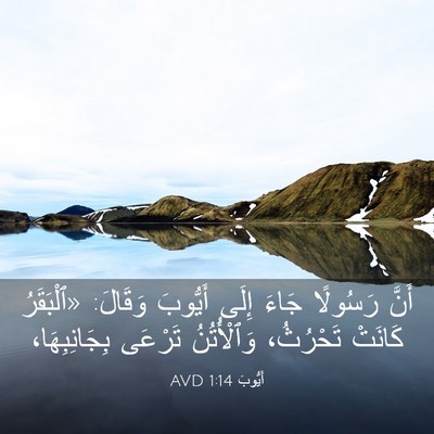 Picture 03 - أَيُّوبَ 1:14 AVD - أَنَّ رَسُولًا جَاءَ إِلَى - Bible Verse Picture