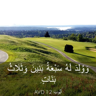 Picture 03 - أَيُّوبَ 1:2 AVD - وَوُلِدَ لَهُ سَبْعَةُ - Bible Verse Picture