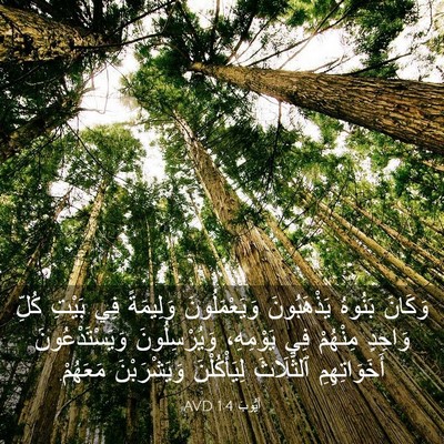 Picture 03 - أَيُّوبَ 1:4 AVD - وَكَانَ بَنُوهُ - Bible Verse Picture