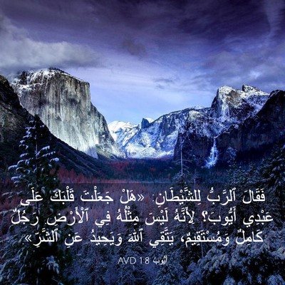Picture 03 - أَيُّوبَ 1:8 AVD - فَقَالَ ٱلرَّبُّ - Bible Verse Picture