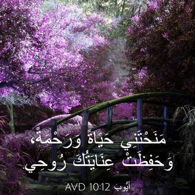 Picture 03 - أَيُّوبَ 10:12 AVD - مَنَحْتَنِي حَيَاةً - Bible Verse Picture