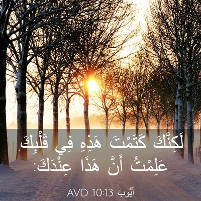 Picture 03 - أَيُّوبَ 10:13 AVD - لَكِنَّكَ كَتَمْتَ هَذِهِ - Bible Verse Picture