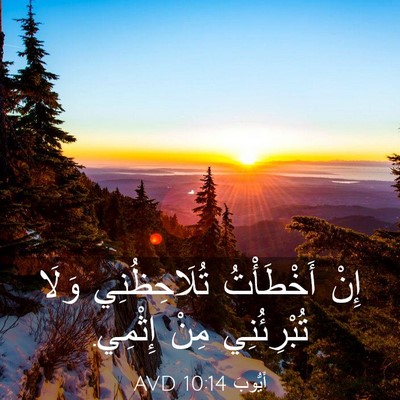 Picture 03 - أَيُّوبَ 10:14 AVD - إِنْ أَخْطَأْتُ - Bible Verse Picture