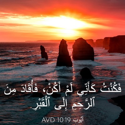 Picture 03 - أَيُّوبَ 10:19 AVD - فَكُنْتُ كَأَنِّي لَمْ - Bible Verse Picture