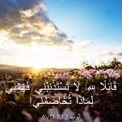 Picture 03 - أَيُّوبَ 10:2 AVD - قَائِلًا لِلهِ: لَا - Bible Verse Picture