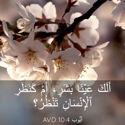 Picture 03 - أَيُّوبَ 10:4 AVD - أَلَكَ عَيْنَا بَشَرٍ، - Bible Verse Picture