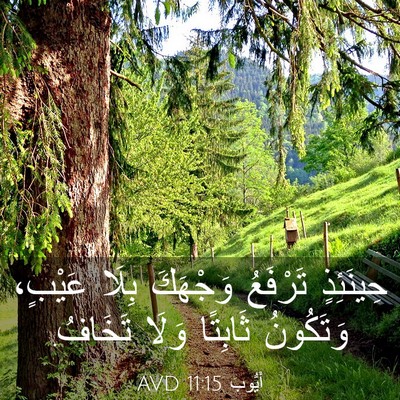 Picture 03 - أَيُّوبَ 11:15 AVD - حِينَئِذٍ تَرْفَعُ - Bible Verse Picture