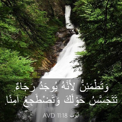 Picture 03 - أَيُّوبَ 11:18 AVD - وَتَطْمَئِنُّ لِأَنَّهُ - Bible Verse Picture