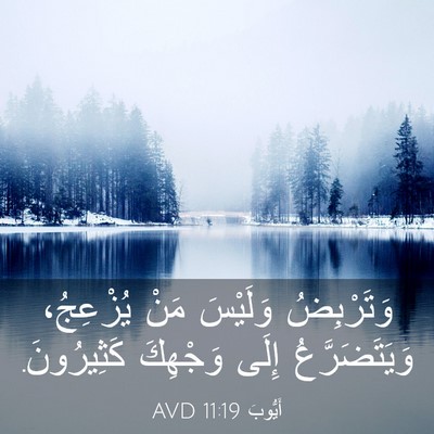 Picture 03 - أَيُّوبَ 11:19 AVD - وَتَرْبِضُ وَلَيْسَ مَنْ - Bible Verse Picture